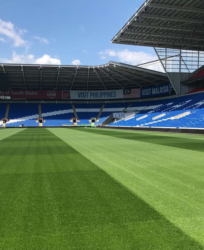 Cardiff City Football Club's pitch